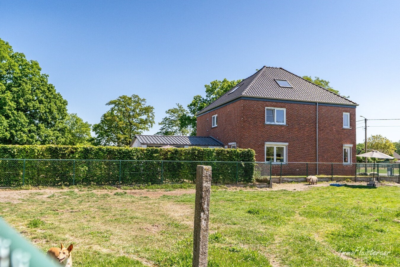Gerenoveerde gezinswoning met ruime loods en weilanden op ca. 1,43 ha te Pelt 