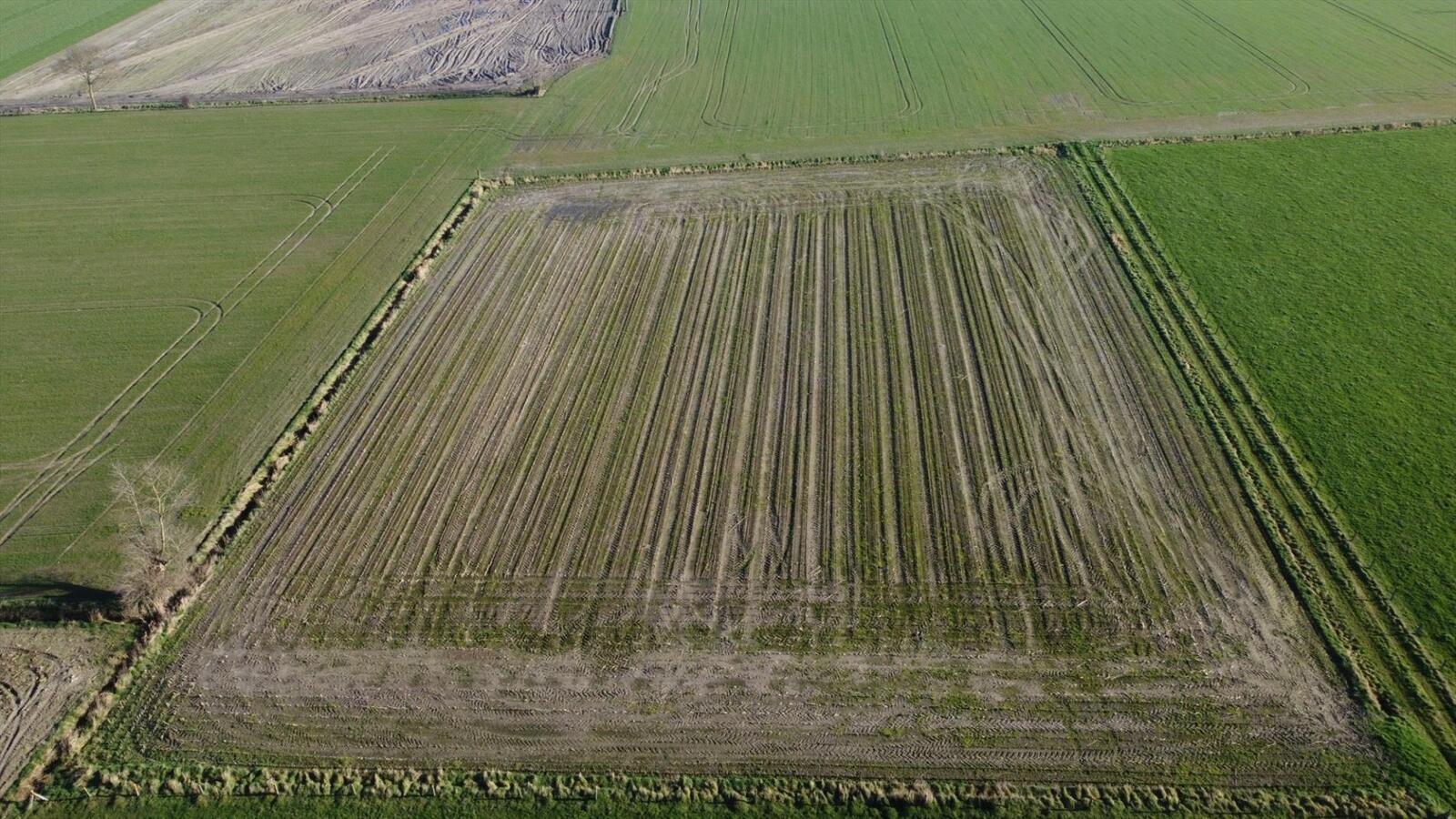 Perceel bouwland van 87a90ca gelegen nabij de Woumenweg. 