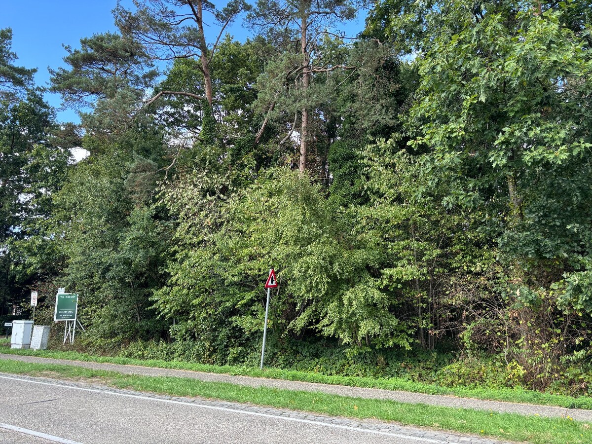 Bouwgrond voor open bebouwing – 1.533 m² in groene omgeving nabij centrum Sint-Antonius 