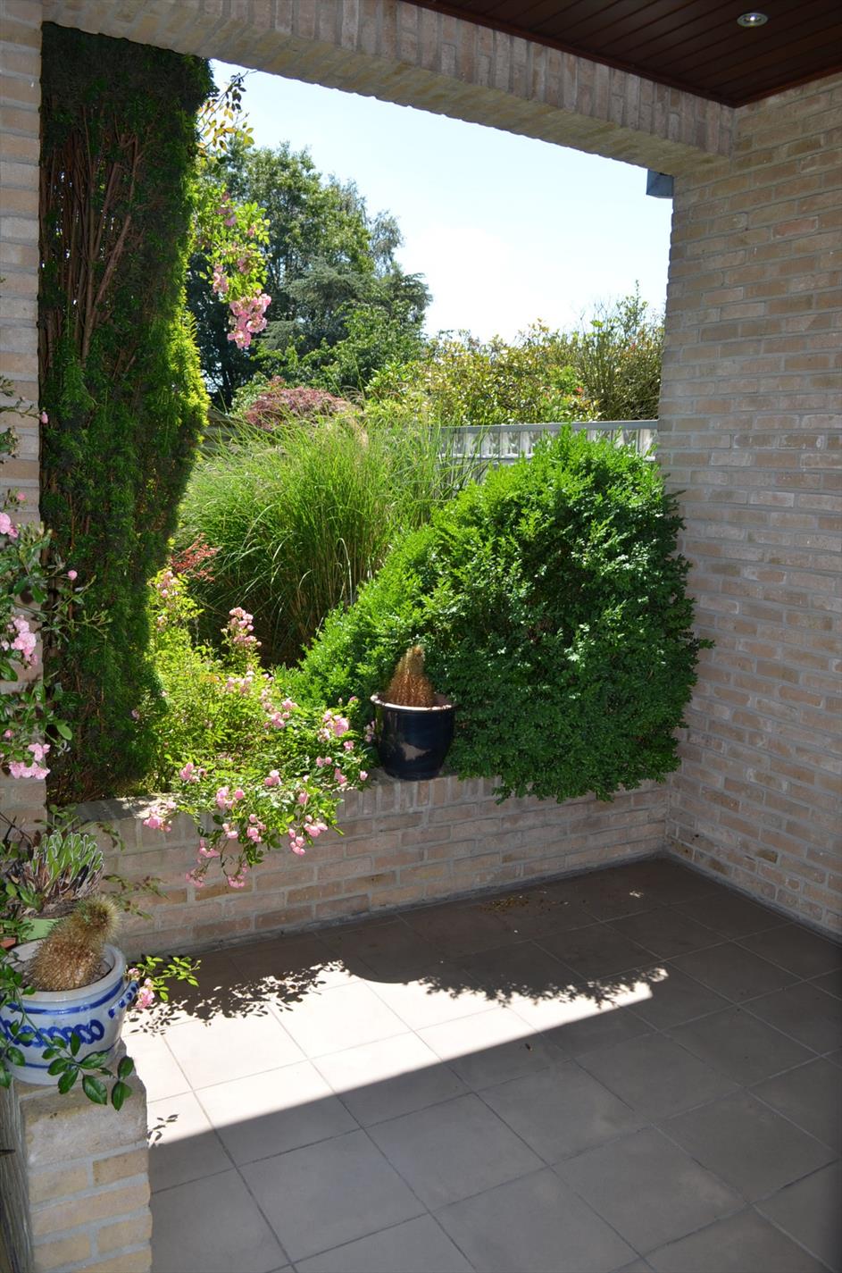 Open bebouwing op 630 m² met 3 slpks, carport en tuin te Maldegem 