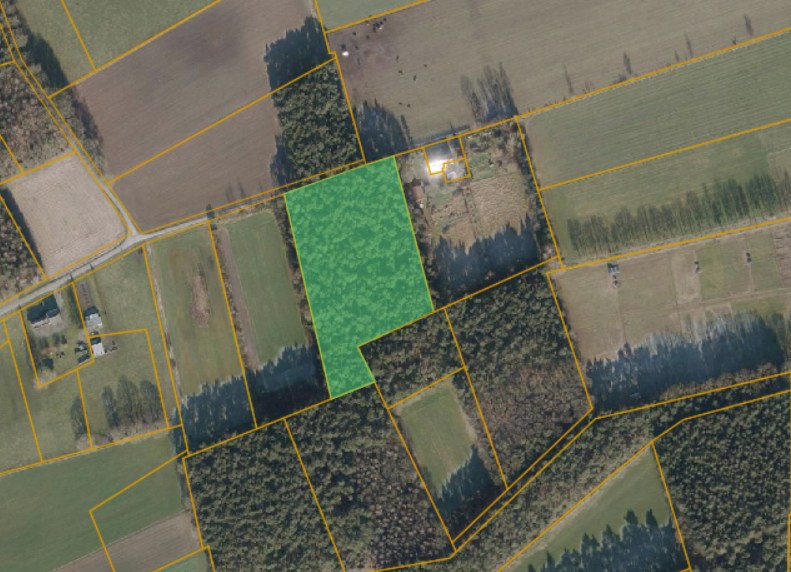 Perceel bosgrond van 1ha 35a 50ca 