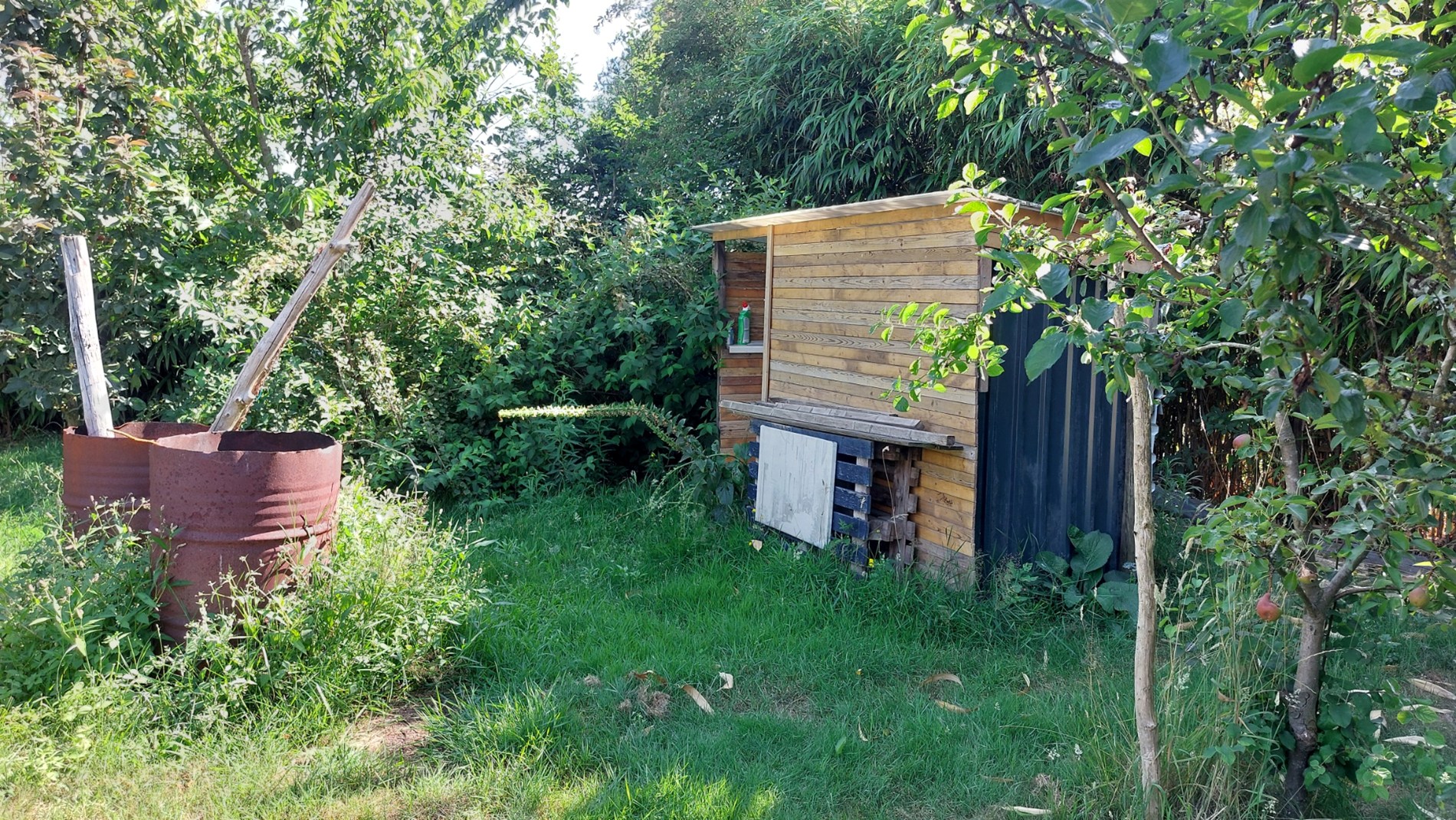 Bos te koop in Weert