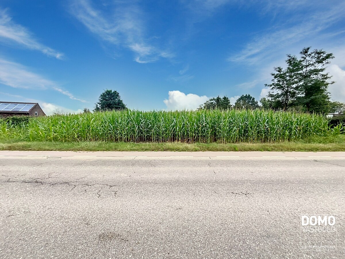 Gunstig gelegen perceel WEILAND te Halen. 