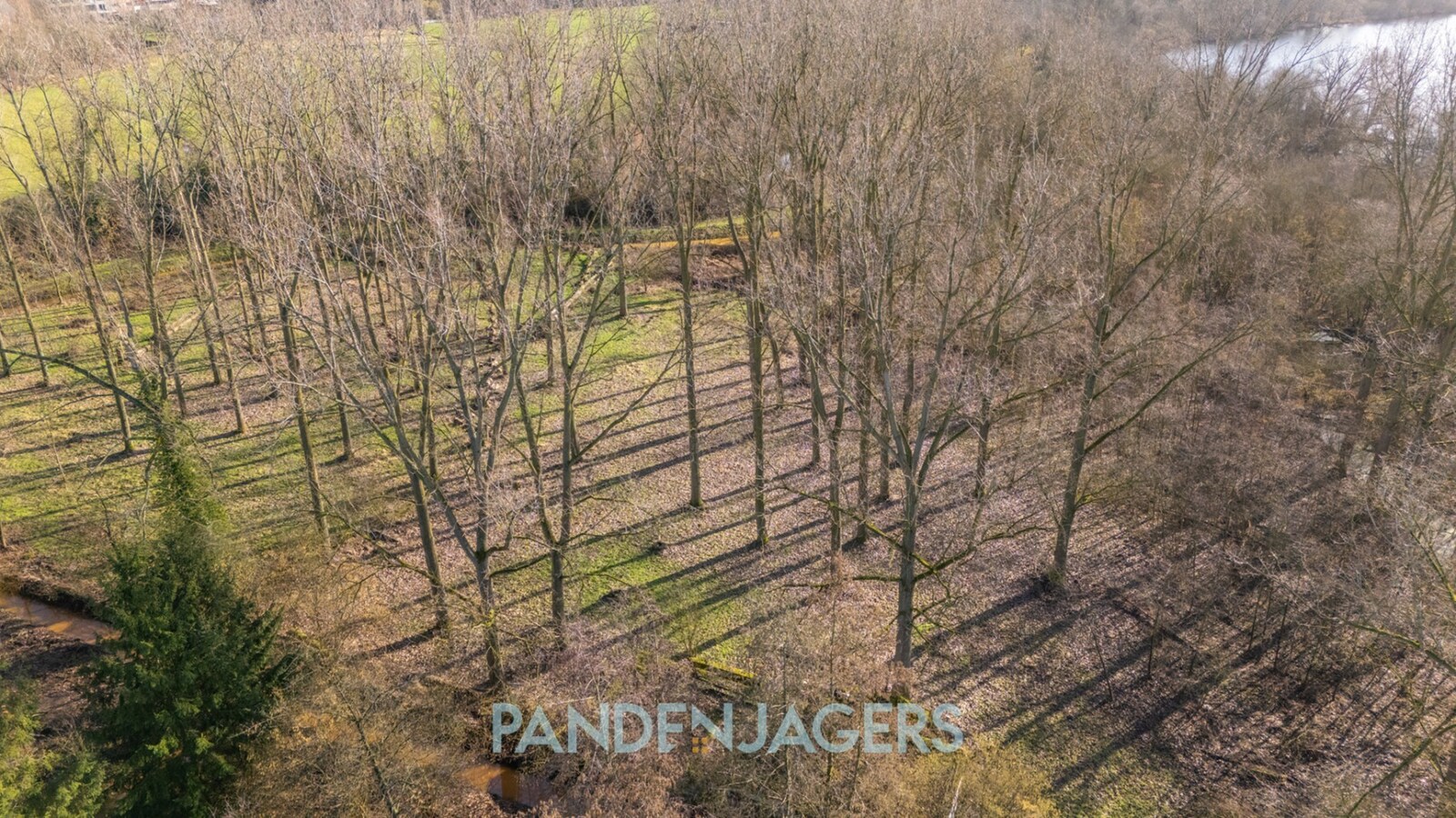 Uniek perceel weiland/bos van 10.110 m² te Battenbroek (Walem) 