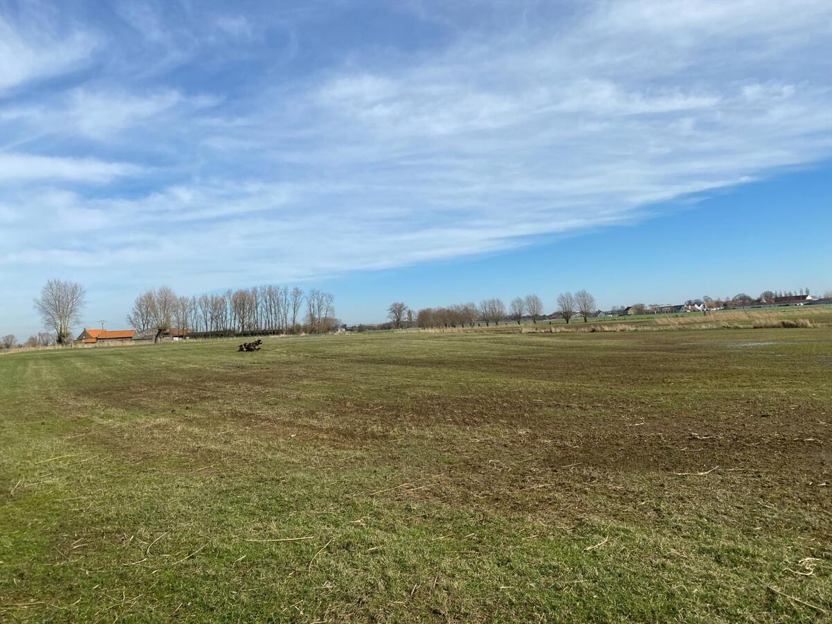 Ruim perceel landbouwgrond nabij de Noorbroekstraat, Woumen van 1ha01a40ca 