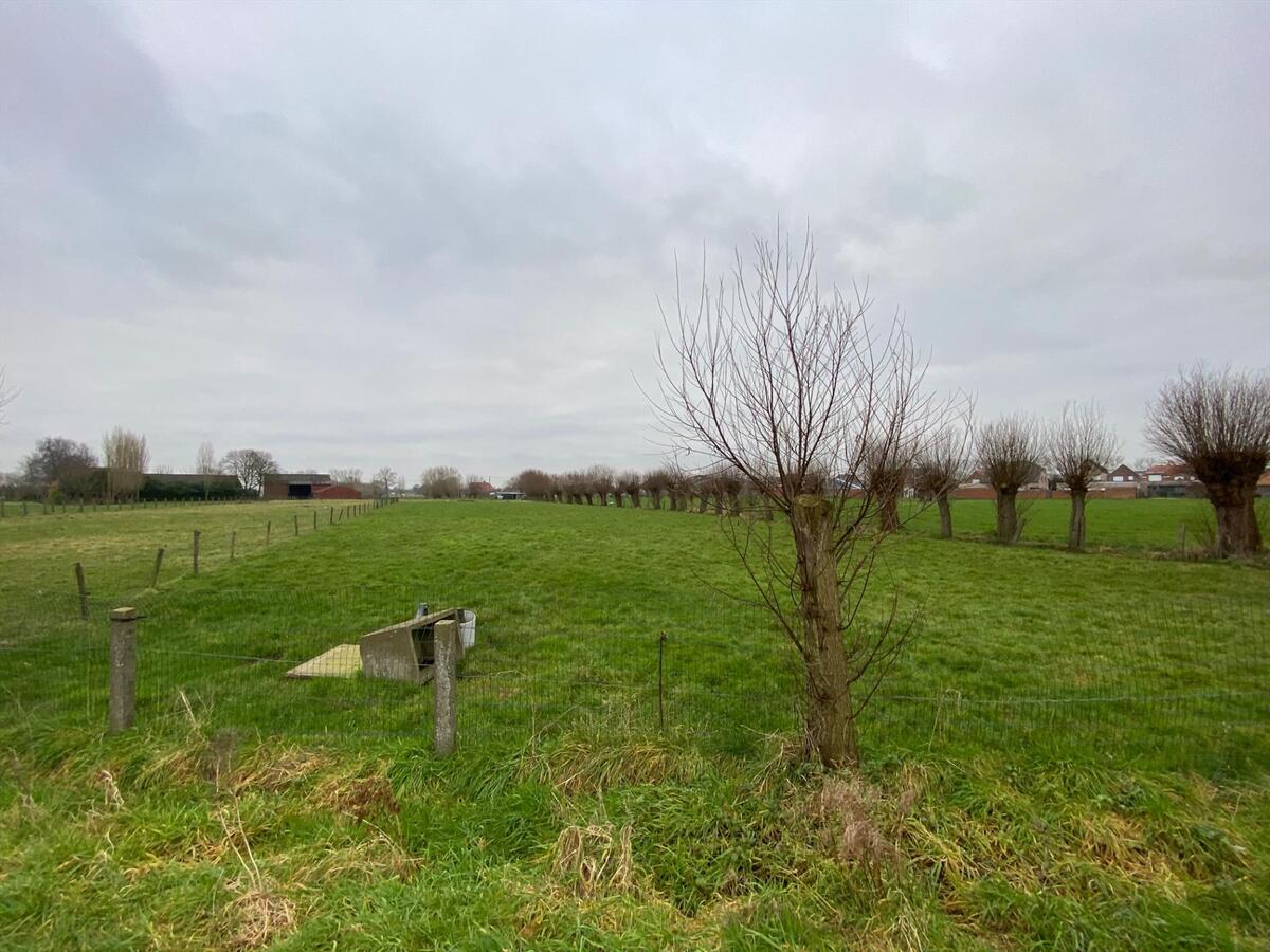 Stuk weiland te Roksem 