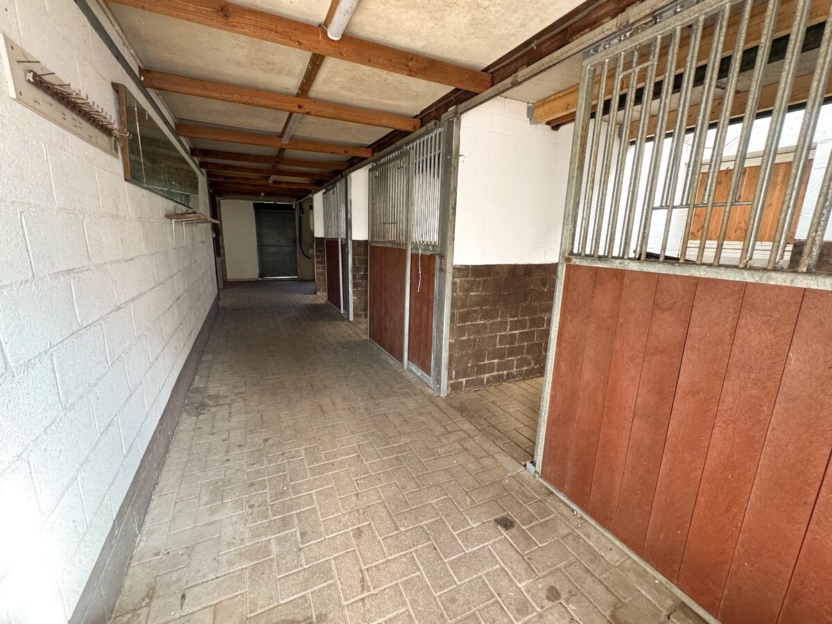 Ruime woning met paardenstallen op ca. 85 are te Kinrooi 