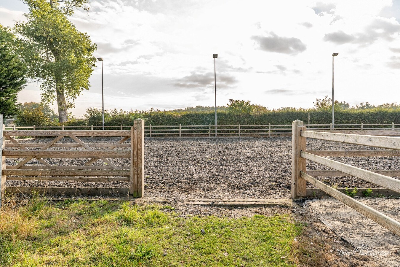 Charmante woning met stallen, buitenpiste en weide  op ca. 2 ha te OUDENBURG 