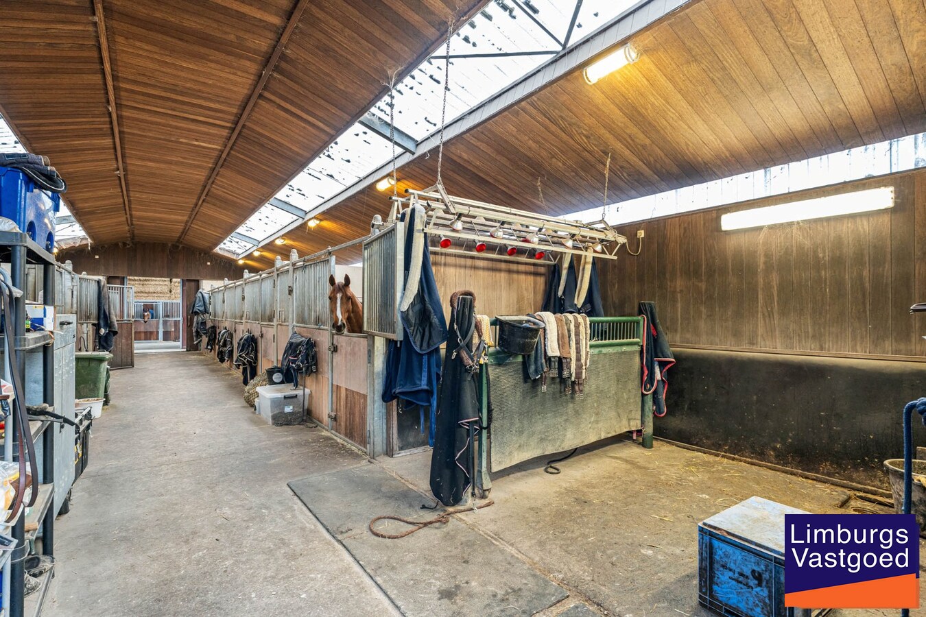 Landelijk gebouwencomplex voor paardenhouderij, op ong. 3ha 50a met stallen, weides/paddock, binnen-en buitenpiste, en woning. 