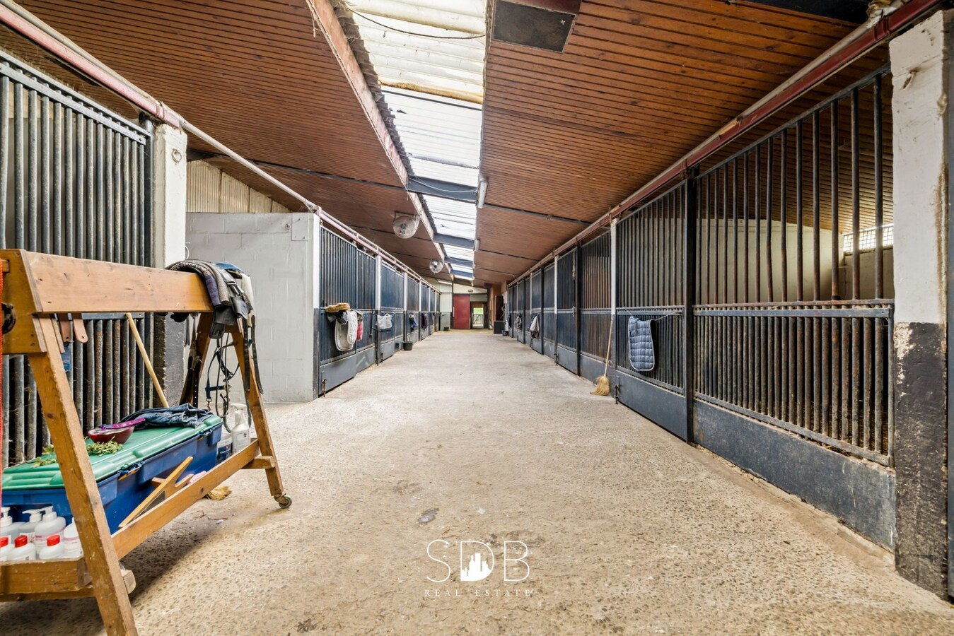 Hedendaagse woning met hippisch complex op circa 2hectare 