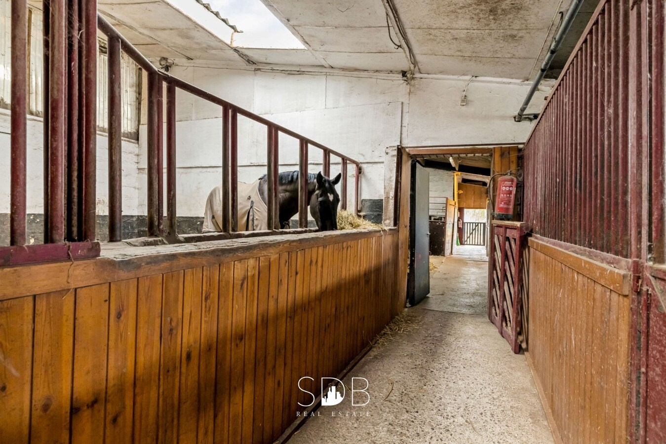 Hedendaagse woning met hippisch complex op circa 2hectare 