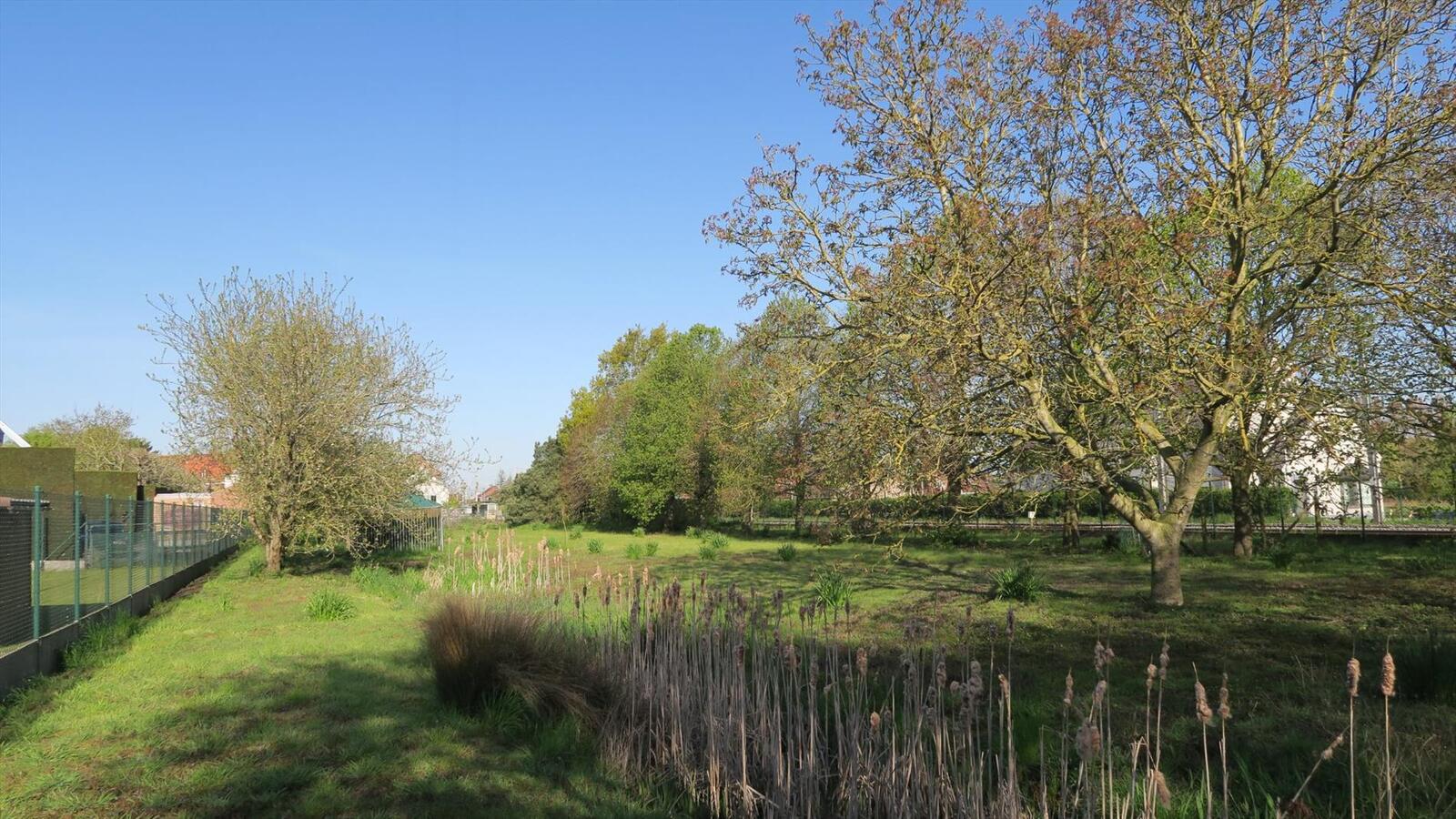 Ruim perceel grond van 3984m² 