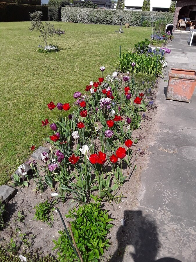 Ruime, stijlvolle villa op 21 are, vlot bereikbaar E17 (Kortrijk - Gent) 