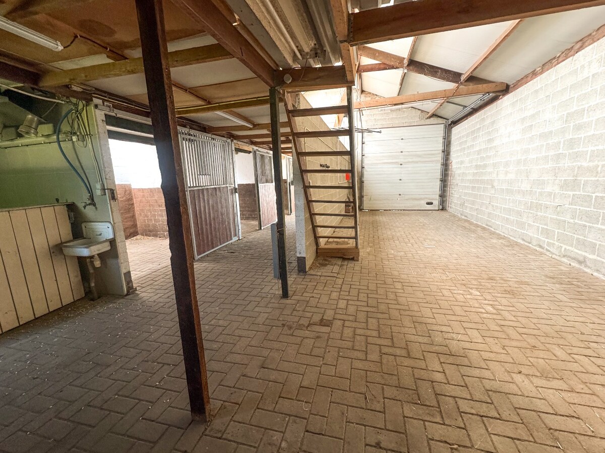 Ruime woning met paardenstallen op ca. 85 are te Kinrooi 