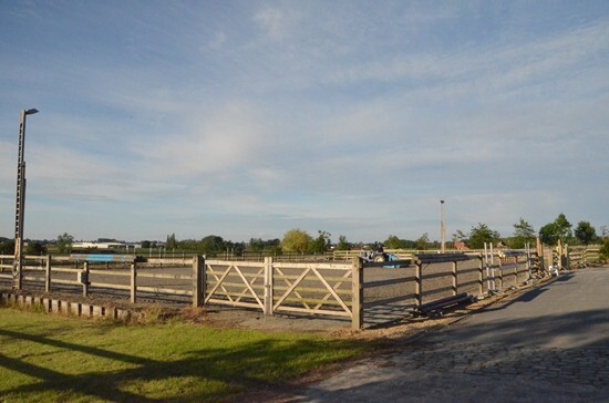 Instapklare eigendom met 12 stallen en 3 pistes op 3,1ha te Ardooie 