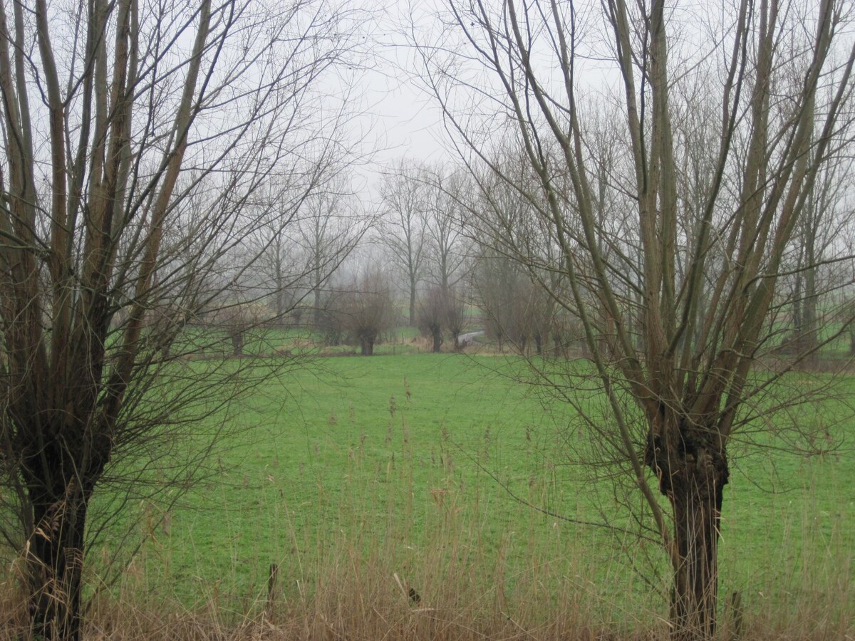 Aangenaam wonen in Semmerzake 