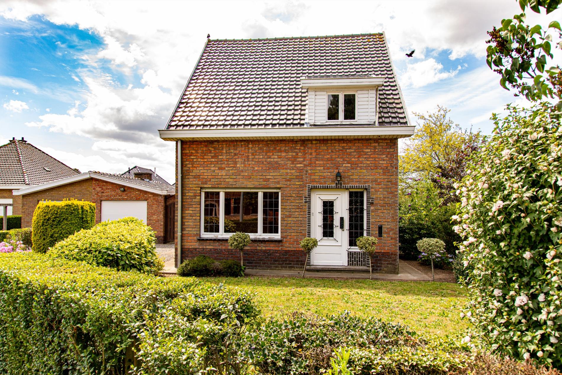 Te renoveren woning met  3 slpks  rustig gelegen te Aalter 