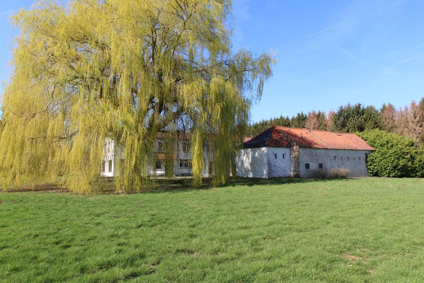 EN OPTION - Maison à rénover dans un cadre rural avec annexes et prairies sur environ 6.7ha à Nivelles (Brabant Wallon) 