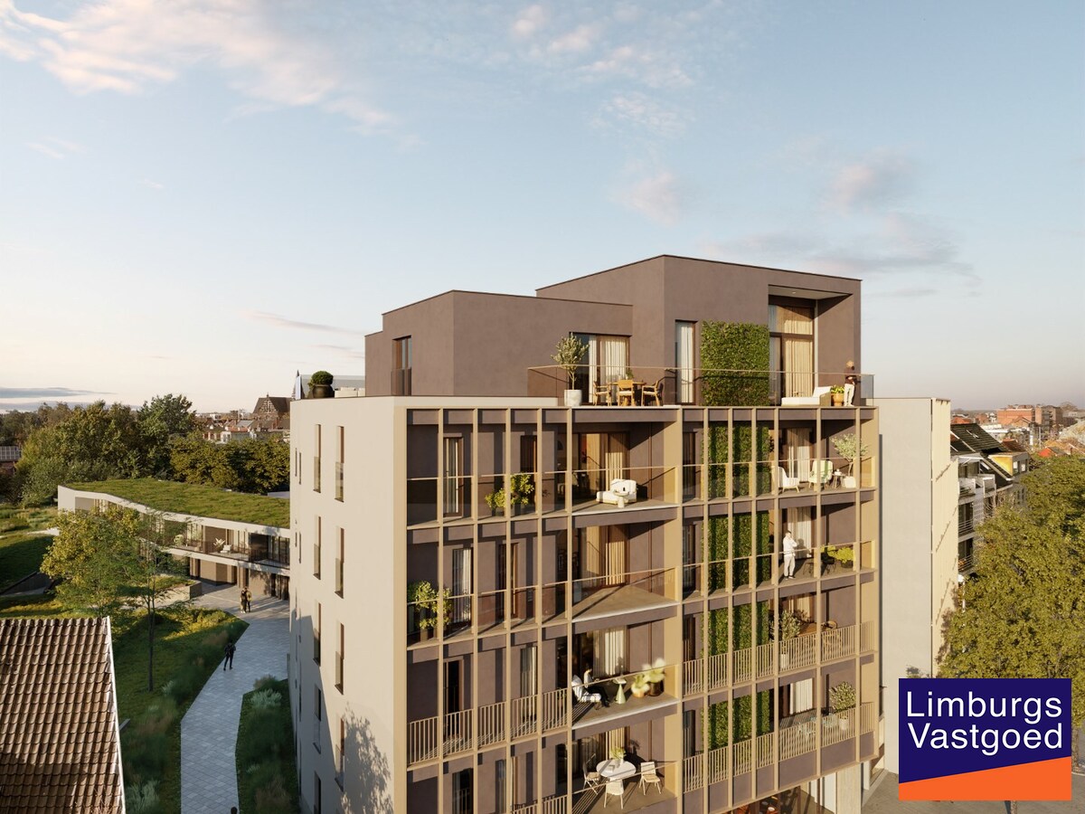 Casco Commercieel gelijkvloers, 162 m², centrum Hasselt 