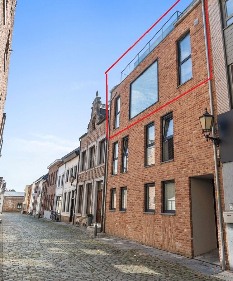 Te huur - Appartement - Maaseik