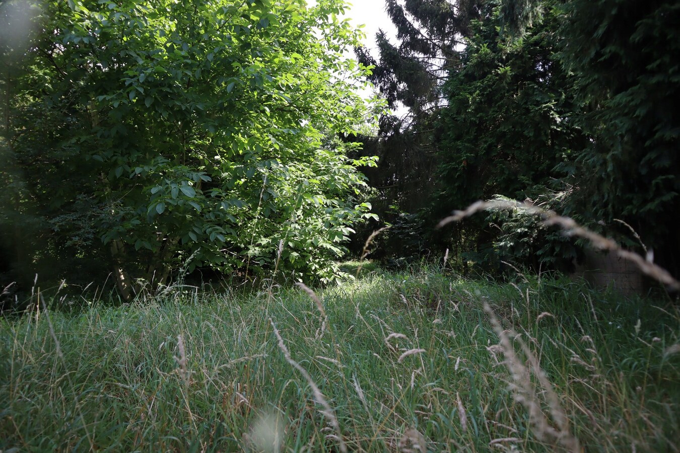 Perceel grond van 07 are 07ca 