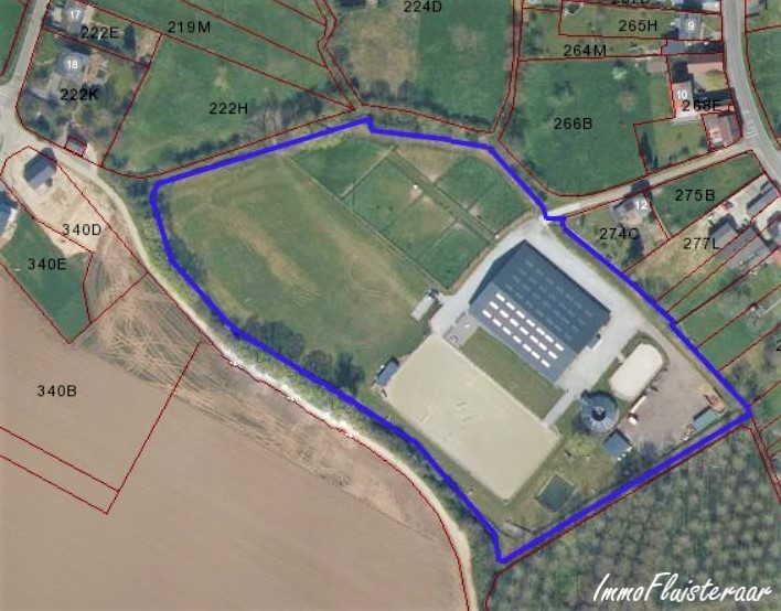 Professional recently built equestrian center on more than 3ha at Hannut (Luik/Liège; Belgium) 