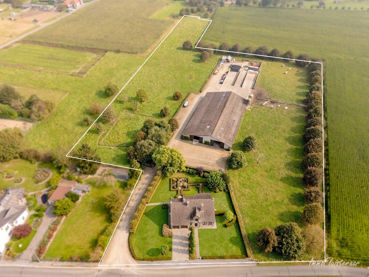 Prachtige villa met een ruim stalgebouw op ca. 2,2 ha te Dilsen-Stokkem 