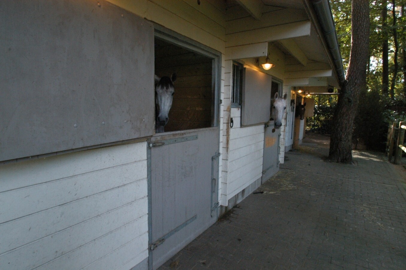 Smaakvol ingericht landhuis met stallen op ca. 1.600m² te Zandhoven 