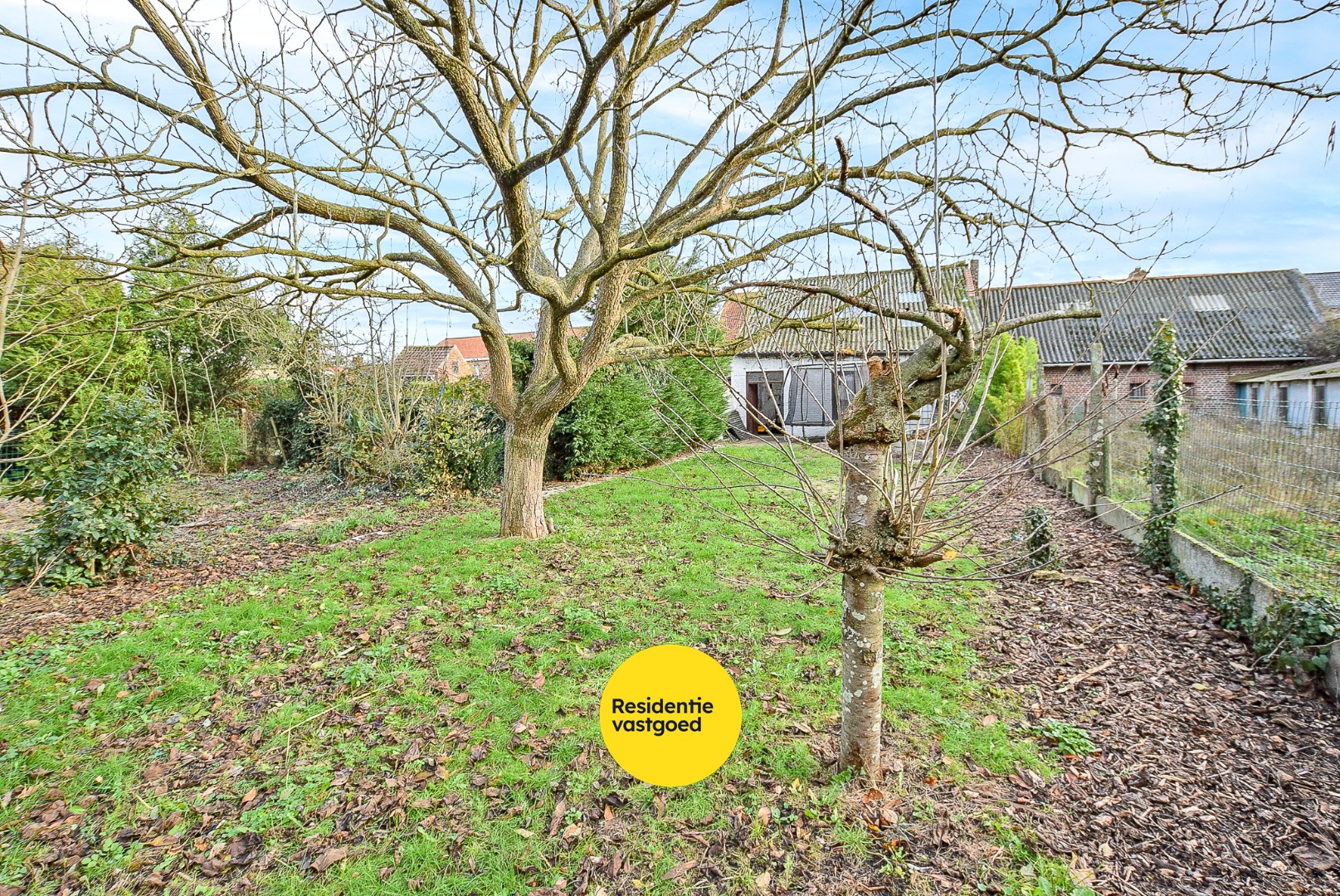 Ruime woning met uitbreidingsmogelijkheden en loods in groot Alveringem. 