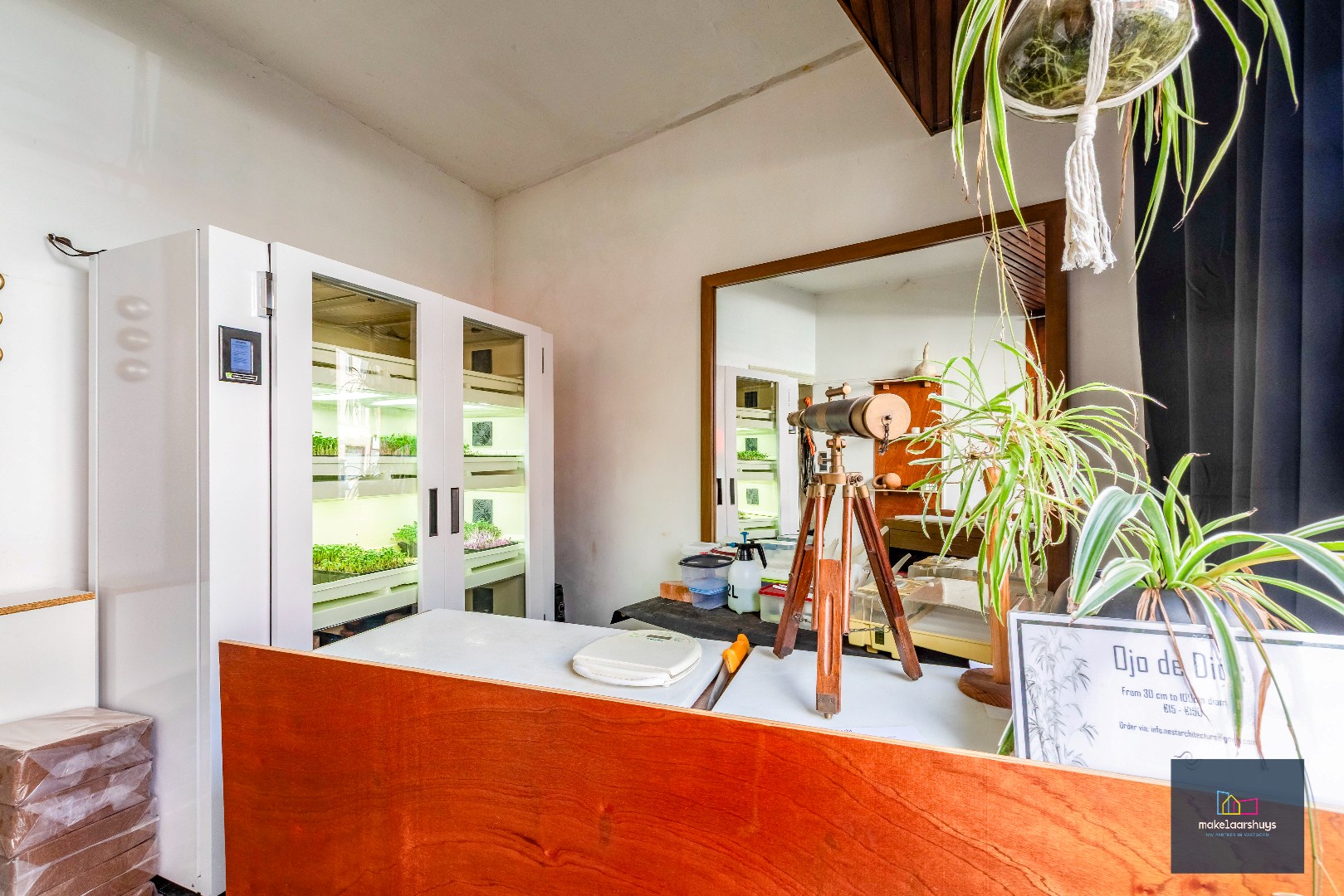 Woning met 3 slaapkamers en verrassende tuin met bijgebouwen 