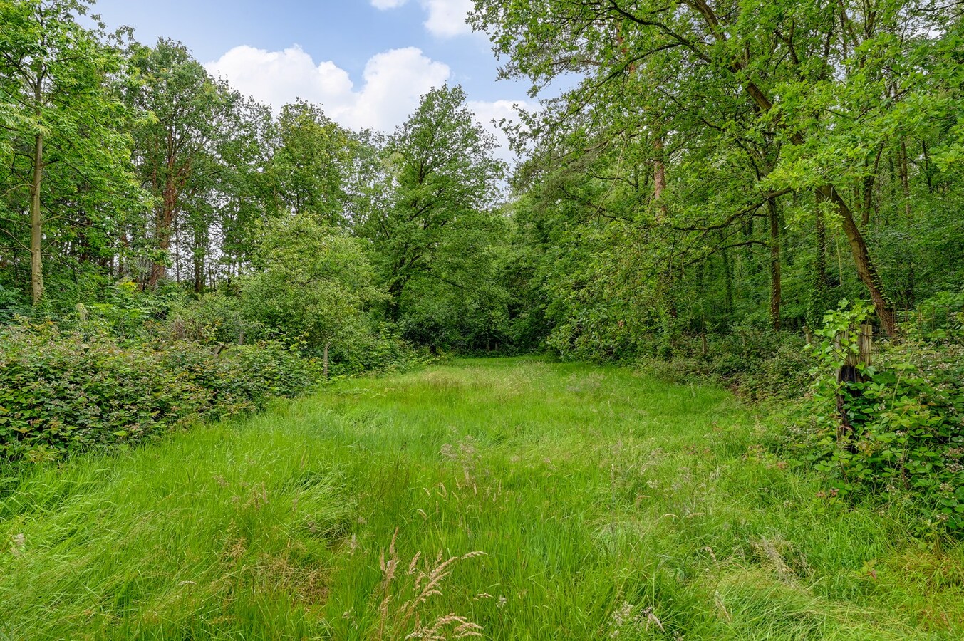 Te renoveren woning op een prachtig perceel van circa 22 are 