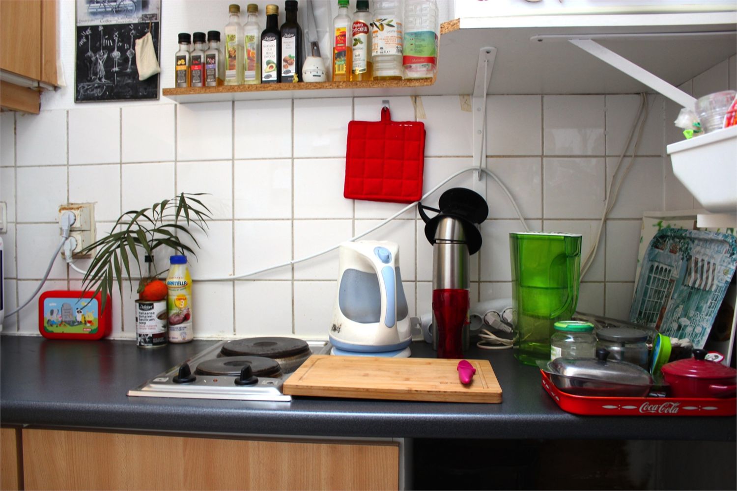 Gezellige woning nabij parkje te Gent 