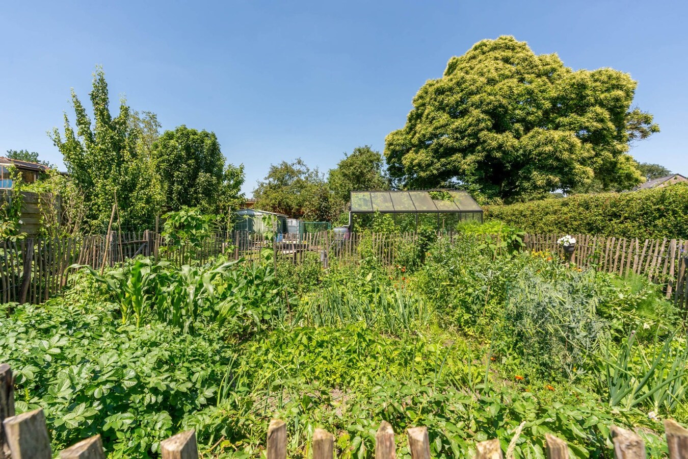 Gelijkvloerse woning met drie slaapkamers 
