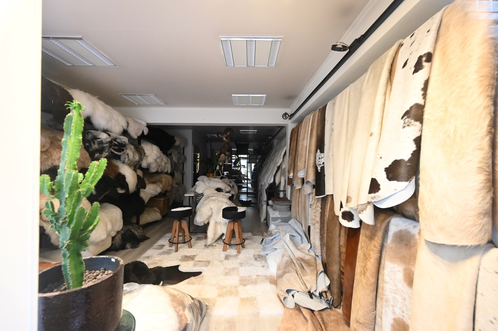 Bel immeuble commercial, situé du côté ensoleillé de l'avenue Dumortier, à proximité de l'avenue Lippens. 