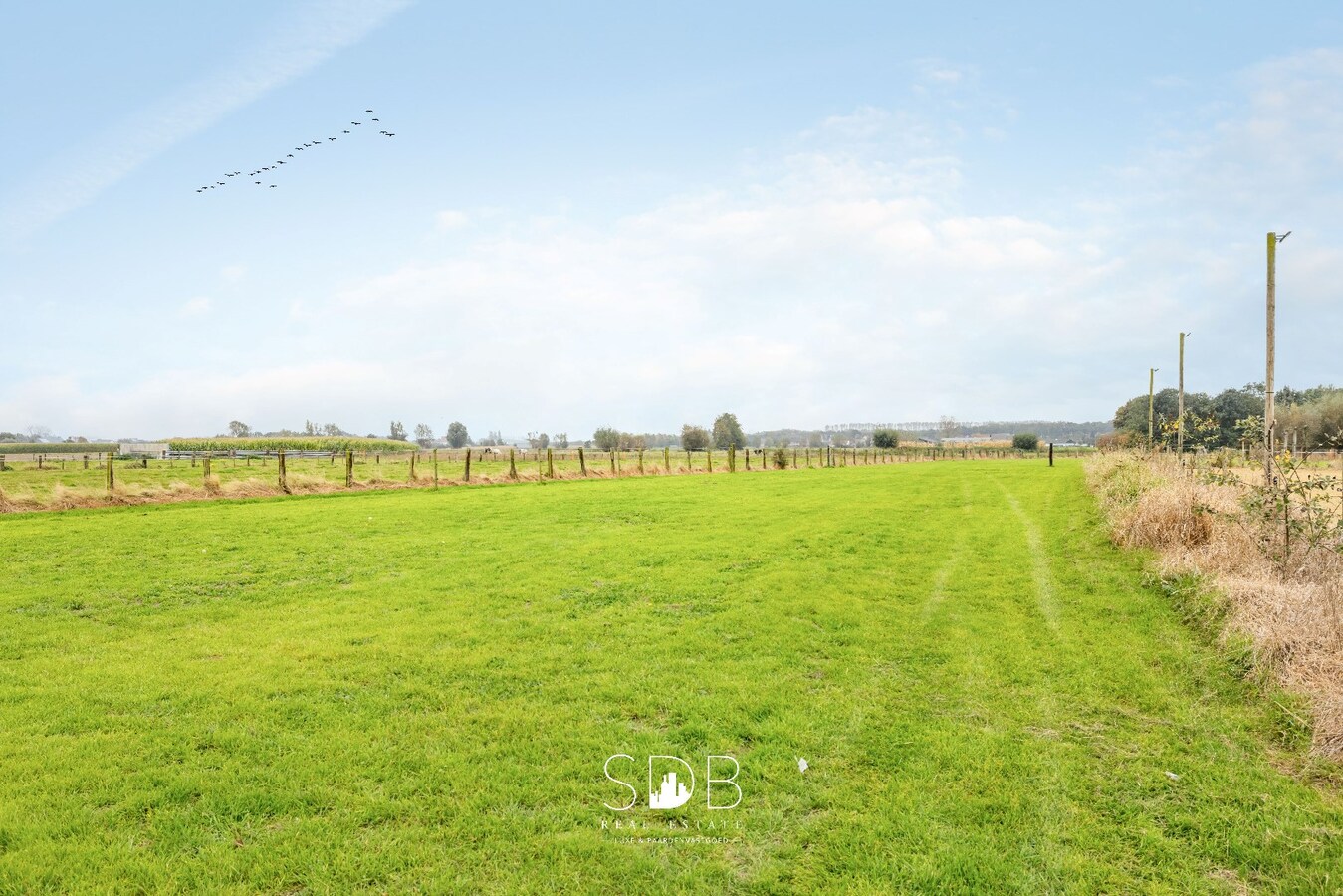 Prachtige woning met paardenfaciliteiten op 11.703m² 