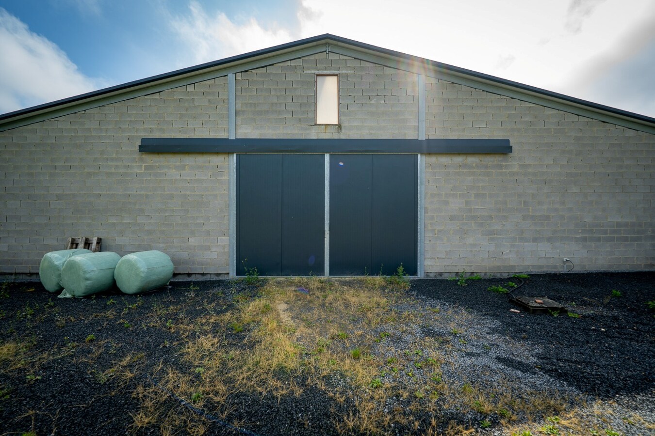 Ruime woning met buitenpiste en kleine binnenpiste op ca. 1,03ha te Hoeselt 