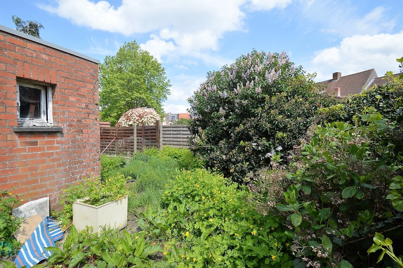 Ruime te renoveren gezinswoning op rustige maar centrale ligging - Sint-Andries 