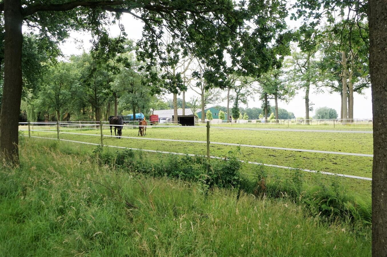 Ferme vendu À Merksplas