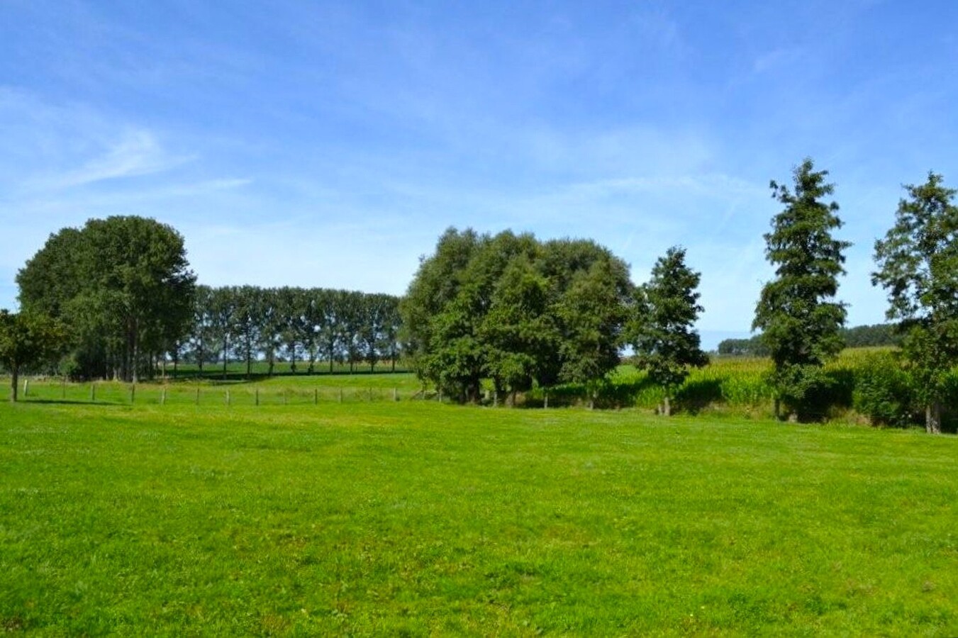 Property sold in Bogaarden