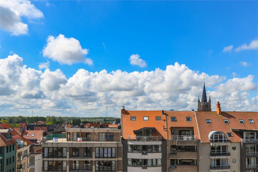 Appartement met zeezicht in sublieme staat. 