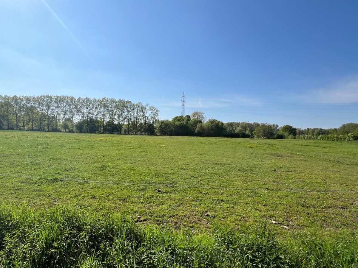 Te koop weiland - Zandhoven