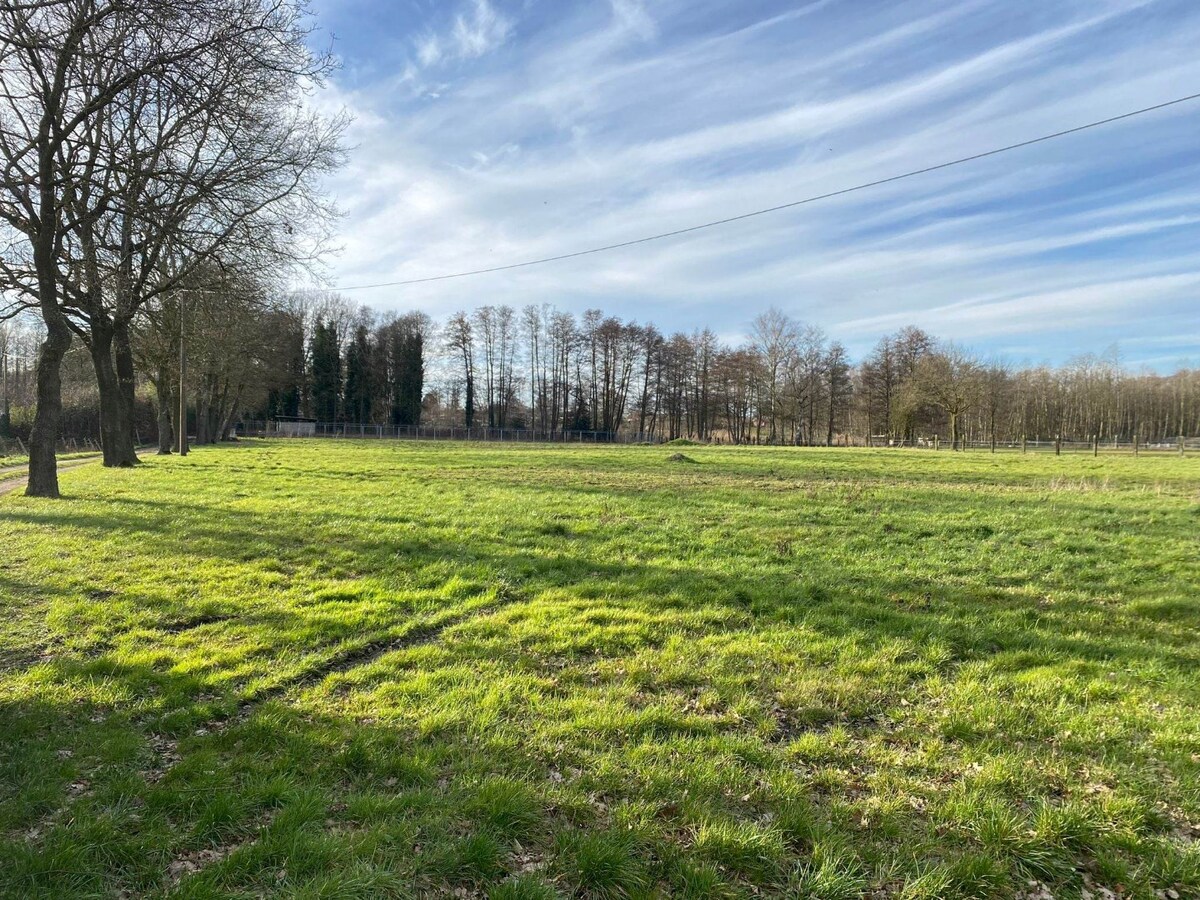 Verkocht landbouwgrond - Meeuwen