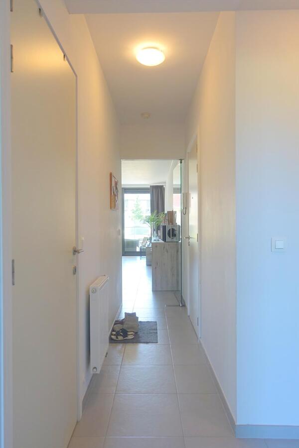 Lichtrijk appartement met terras 