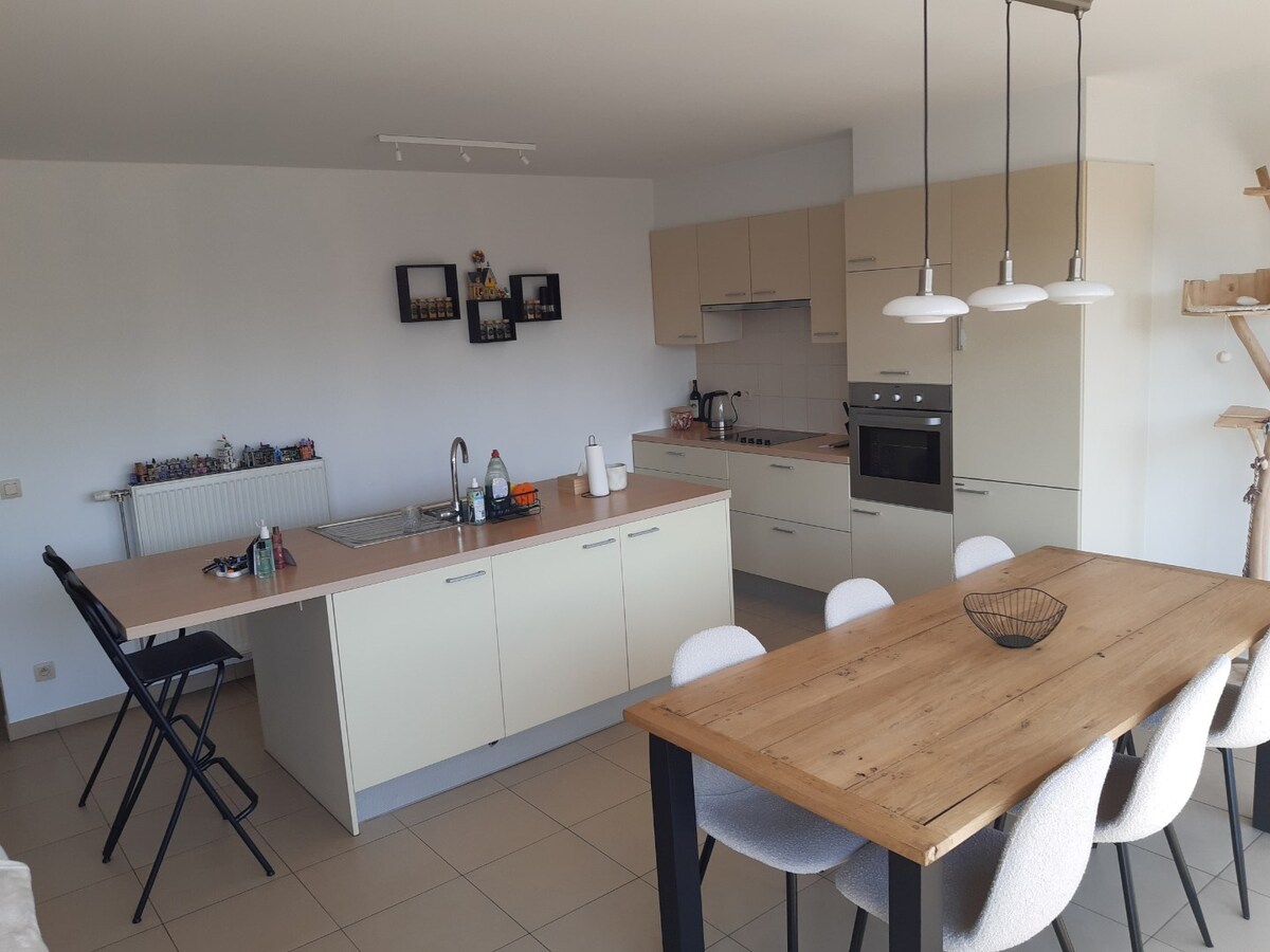 Lichtrijk dakappartement (geen vaste kosten). 