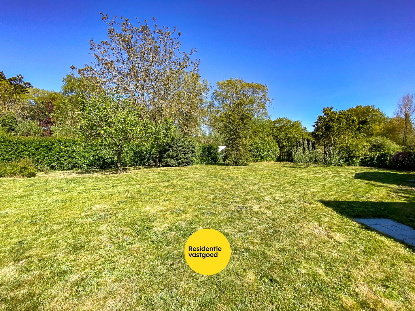Ruime villa met 5 slaapkamers op 1082 m² te Oostduinkerke, gelegen vlakbij het natuurreservaat Hannecartbos. 