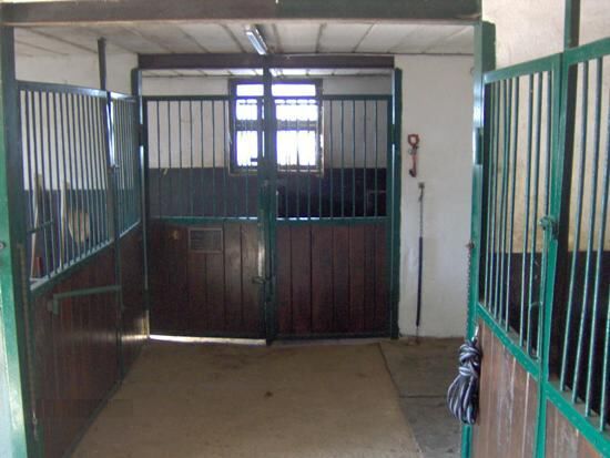 Splendide propriété avec piste couverte et boxes sur environ 1,3ha 