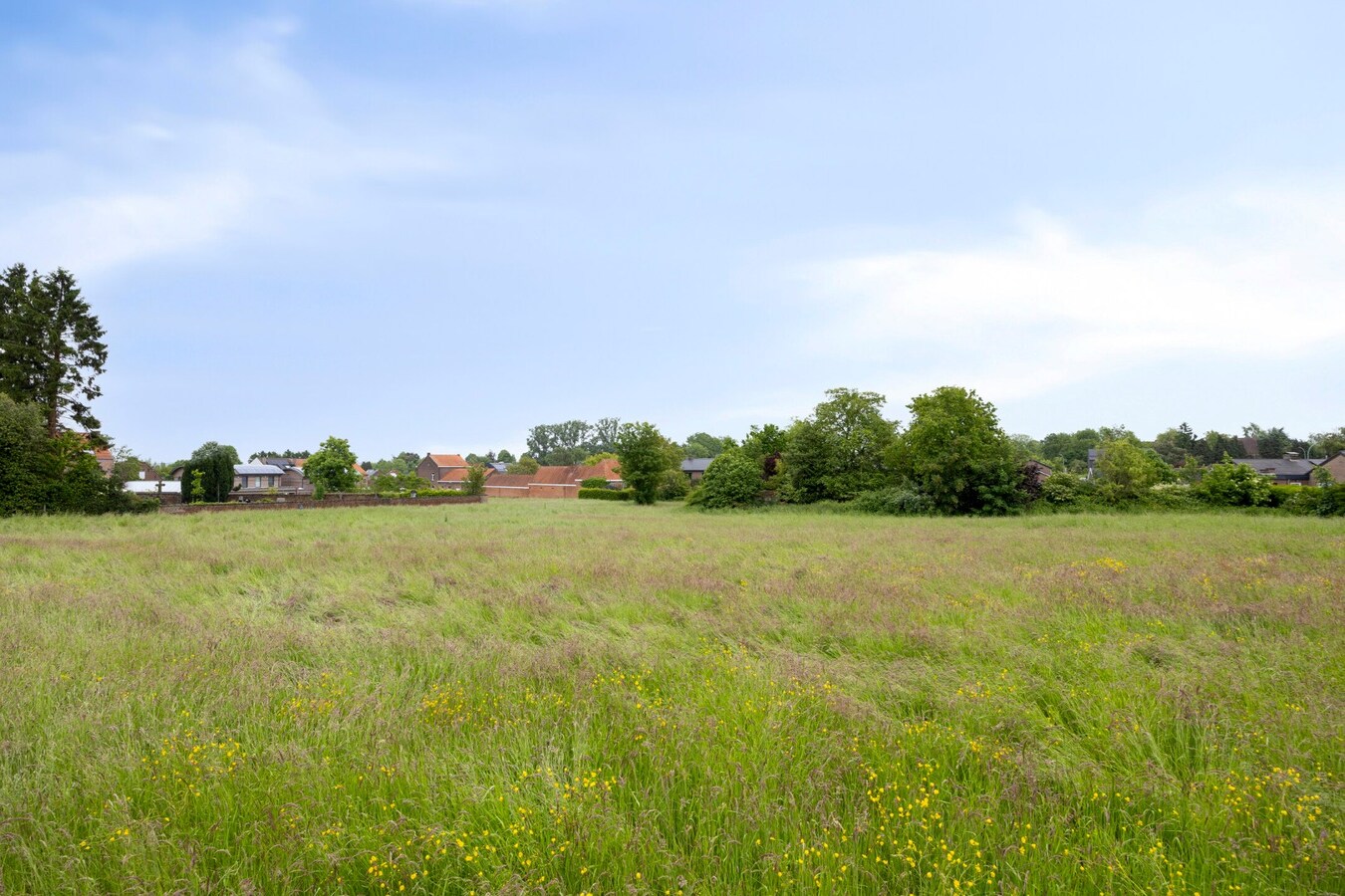 Rijwoning 4 slaapkamers te Haasrode (Oud-Heverlee) 