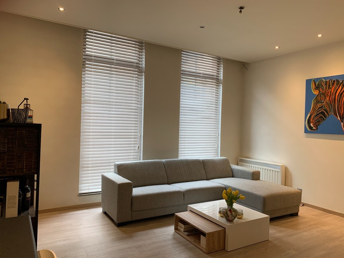 Hedendaags, gelijkvloers appartement in het centrum van Maaseik! 