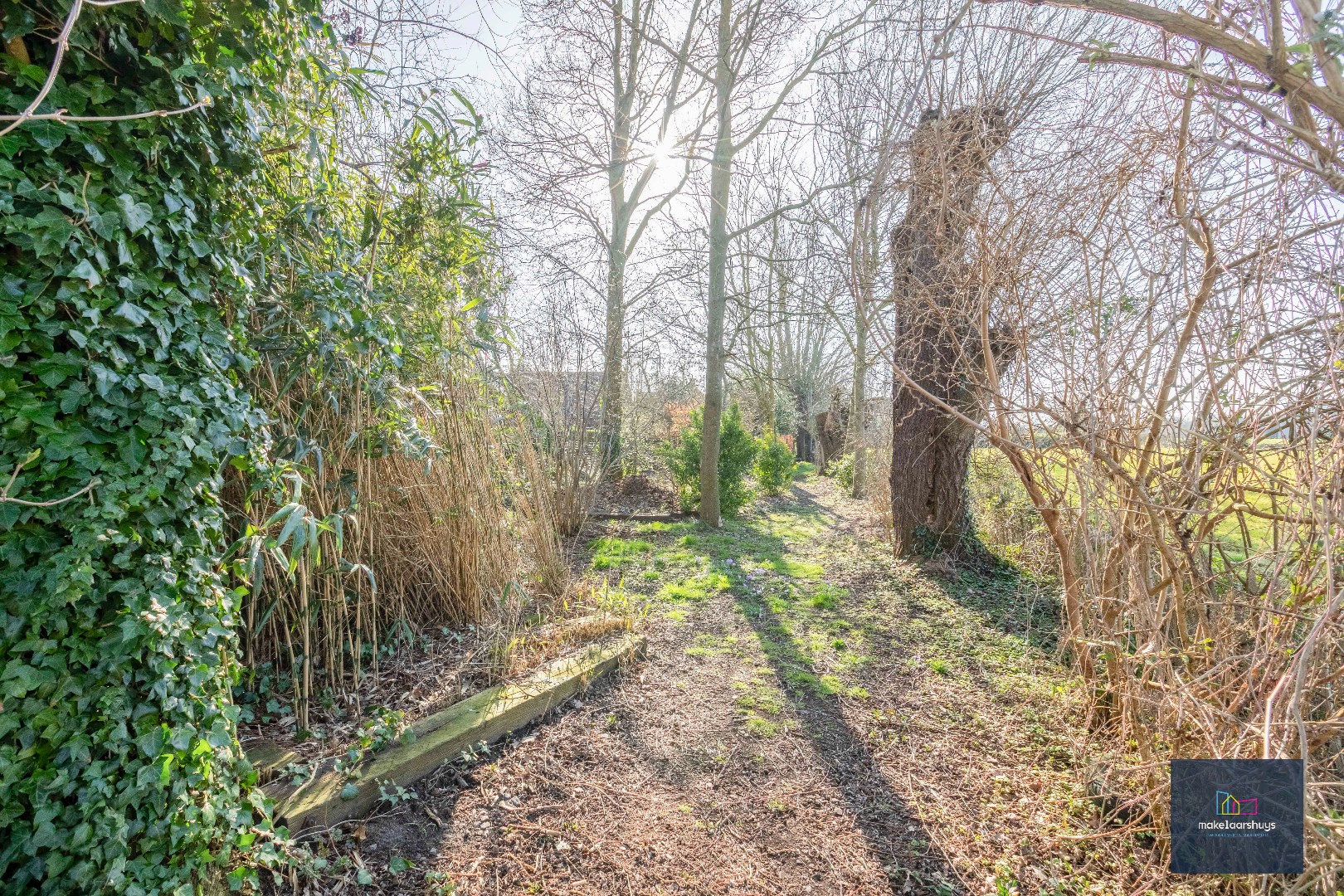 Te renoveren HOB op schitterende locatie te Drongen 