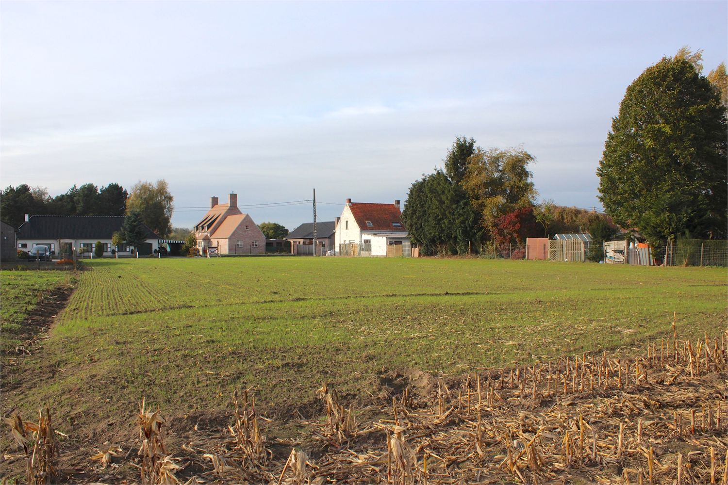 Prachtig perceel bouwgrond te Kruishoutem 